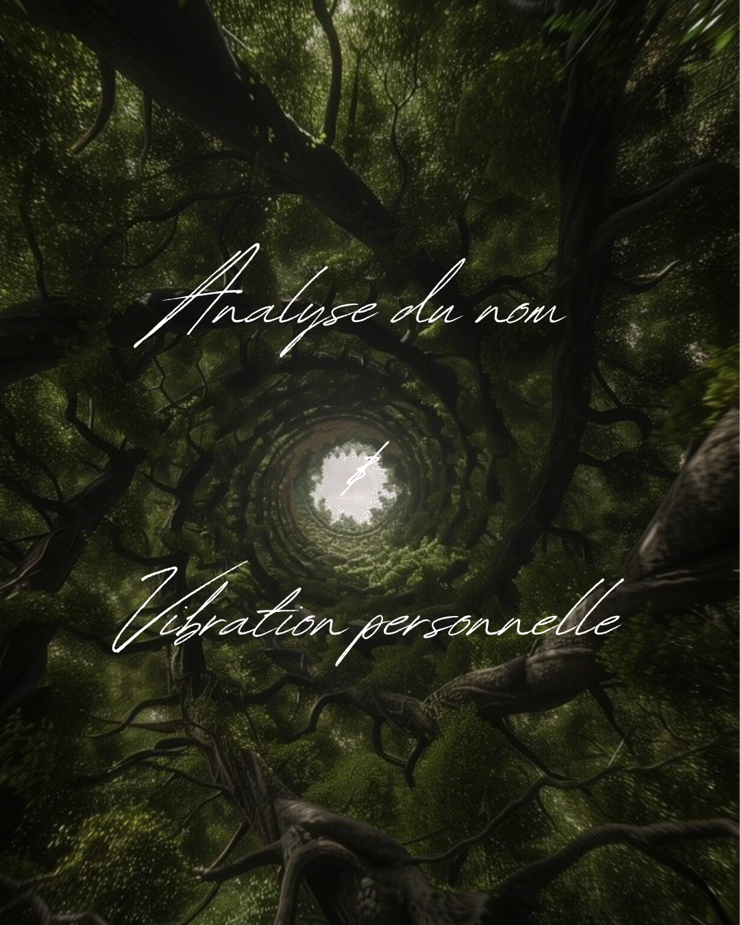 Analyse du nom et vibration personnelle