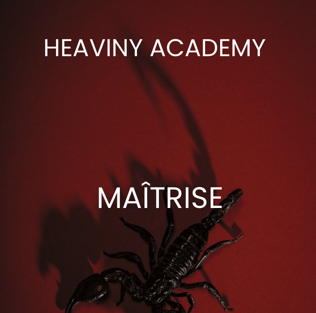 Phase Maîtrise (6 mois) — Approfondissement, divination profonde, souveraineté intuitive