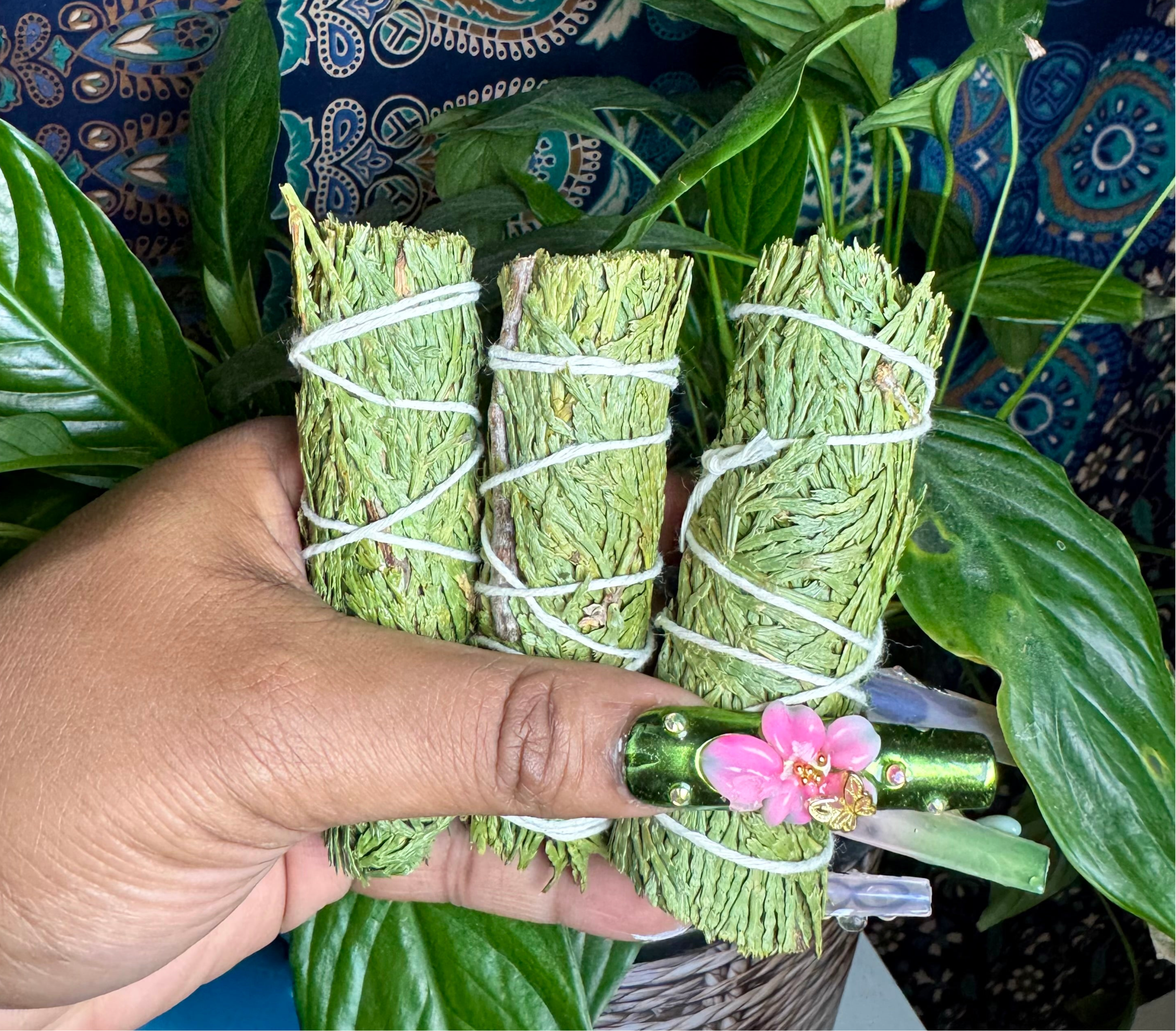 Bâtonnets de Cèdre – Purification & Protection Spirituelle